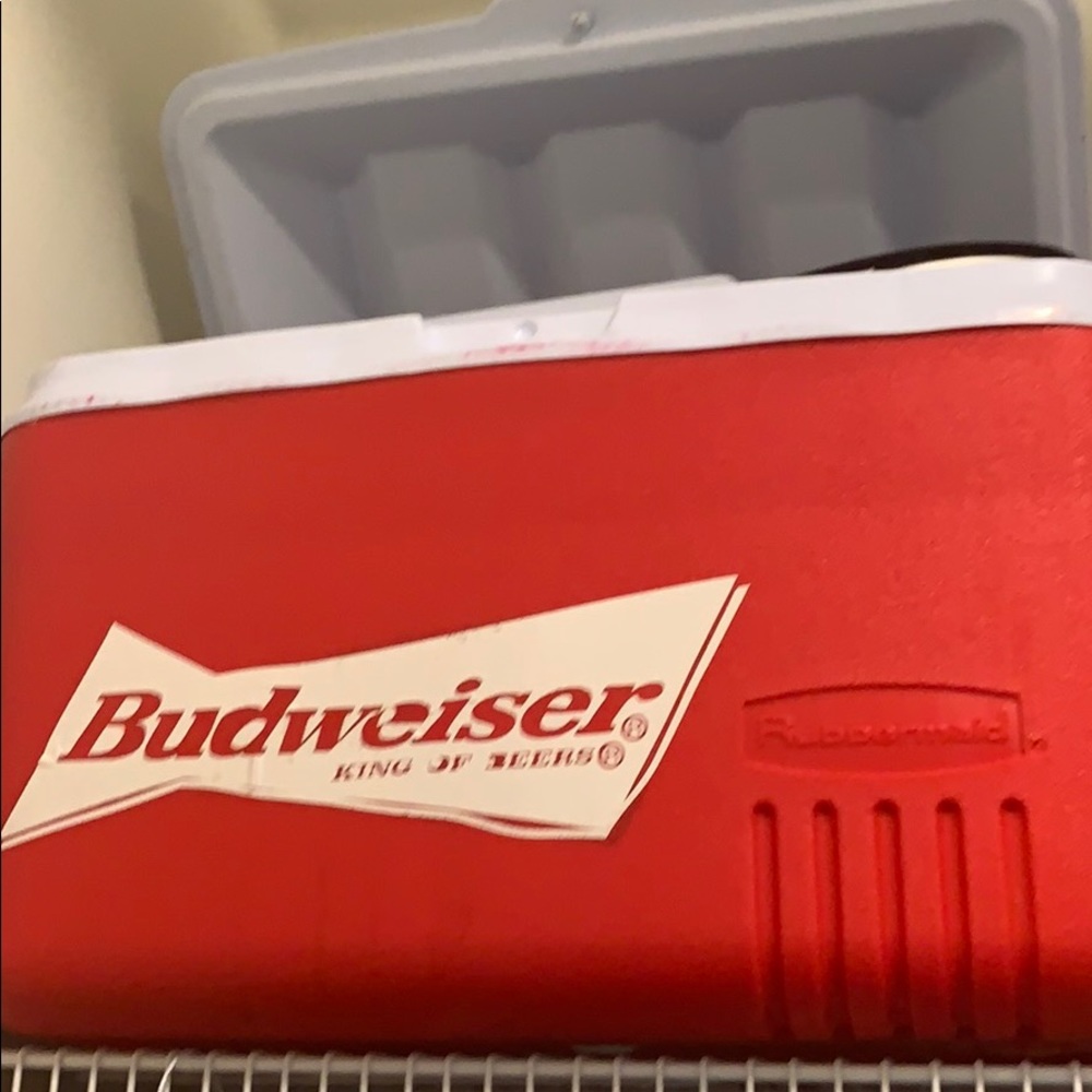 Budweiser cooler